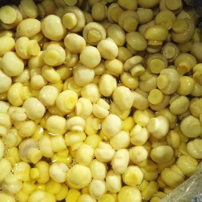 chinese-mushroom-in-brine-in-drums chinese-mushroom-in-brine-in-drums