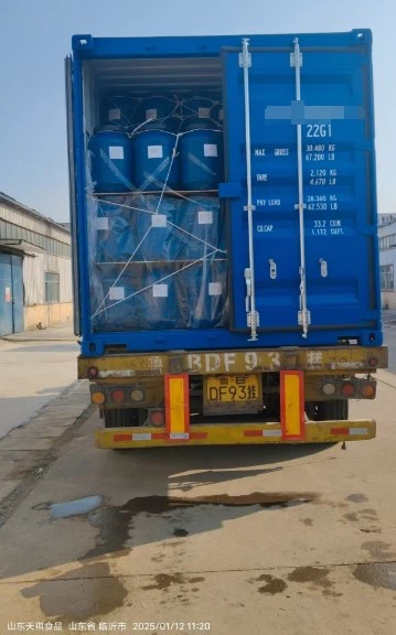 Oyster mushroom Oyster mushroom