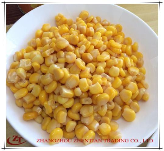 Canned Corn Kernel in Brine
